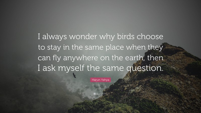 Harun Yahya Quote: “I always wonder why birds choose to stay in the same place when they can fly anywhere on the earth, then I ask myself the same question.”