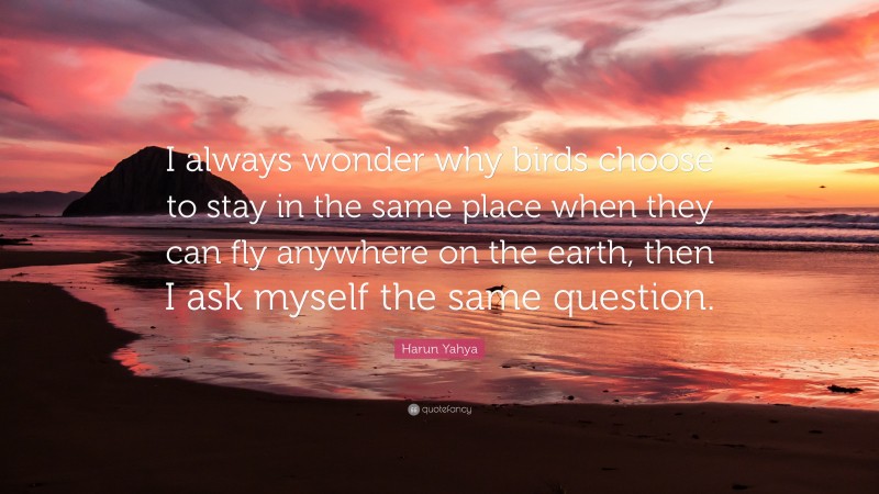 Harun Yahya Quote: “I always wonder why birds choose to stay in the same place when they can fly anywhere on the earth, then I ask myself the same question.”