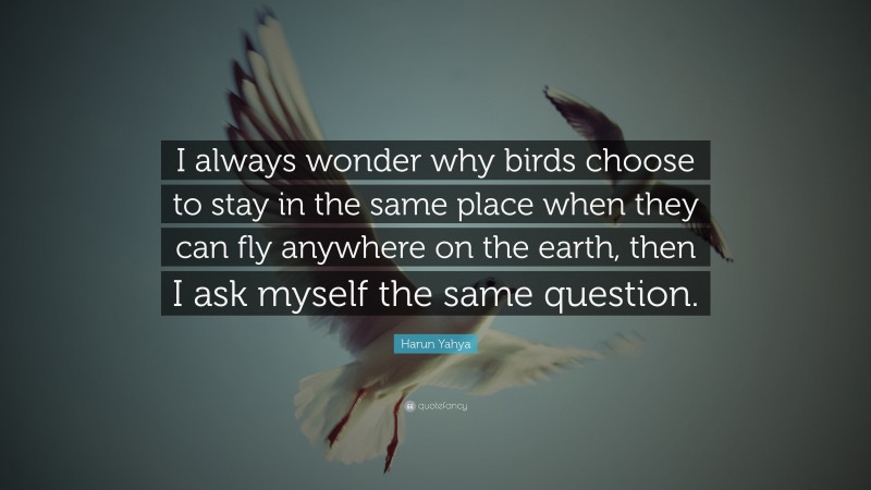 Harun Yahya Quote: “I always wonder why birds choose to stay in the same place when they can fly anywhere on the earth, then I ask myself the same question.”