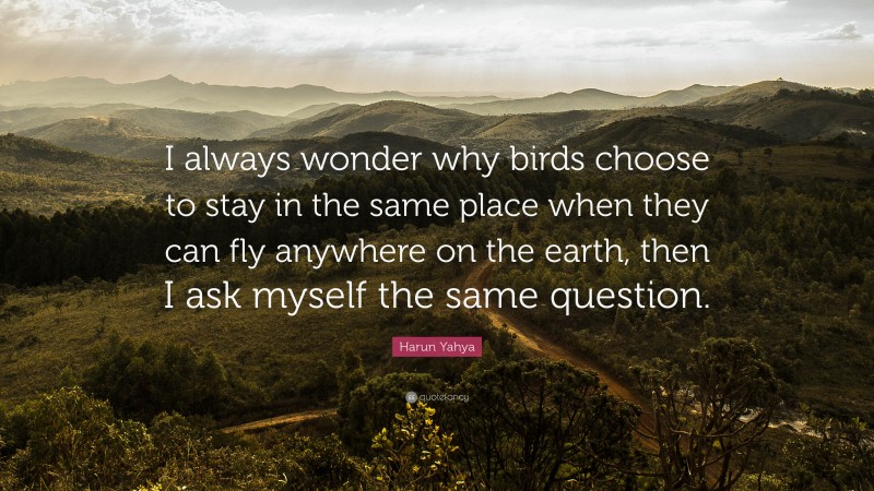 Harun Yahya Quote: “I always wonder why birds choose to stay in the same place when they can fly anywhere on the earth, then I ask myself the same question.”