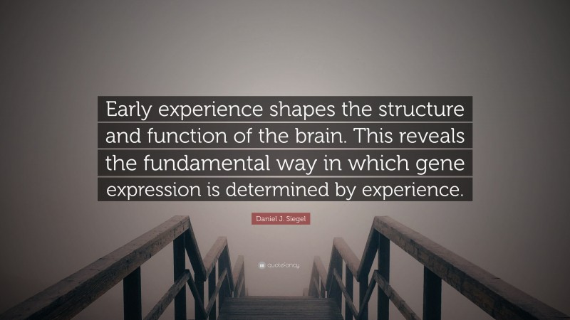 Daniel J. Siegel Quote: “Early experience shapes the structure and function of the brain. This reveals the fundamental way in which gene expression is determined by experience.”