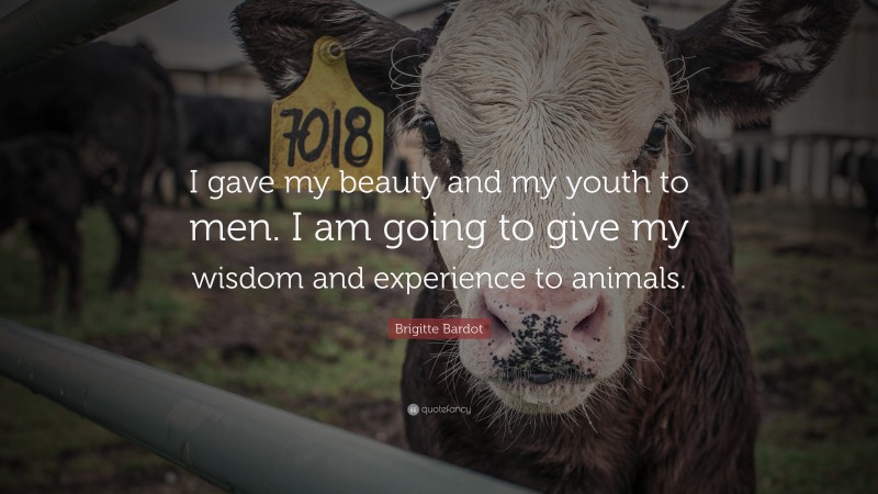 Brigitte Bardot Quote: “I gave my beauty and my youth to men. I am going to give my wisdom and experience to animals.”