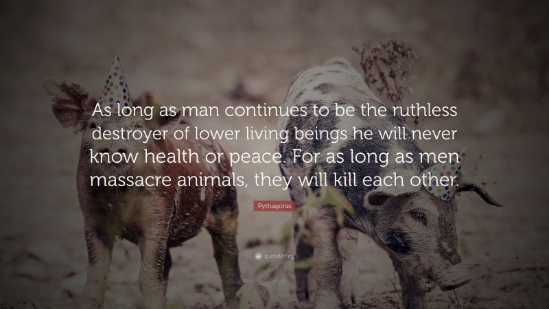 Pythagoras Quote: “As long as man continues to be the ruthless destroyer of lower living beings he will never know health or peace. For as long as men massacre animals, they will kill each other.”