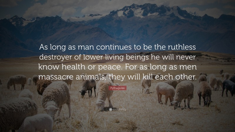 Pythagoras Quote: “As long as man continues to be the ruthless destroyer of lower living beings he will never know health or peace. For as long as men massacre animals, they will kill each other.”