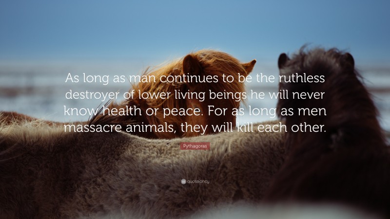 Pythagoras Quote: “As long as man continues to be the ruthless destroyer of lower living beings he will never know health or peace. For as long as men massacre animals, they will kill each other.”