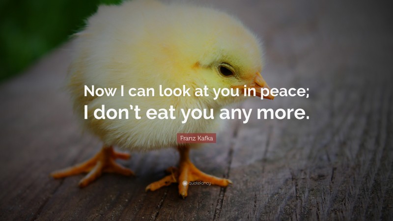 Franz Kafka Quote: “Now I can look at you in peace; I don’t eat you any more.”