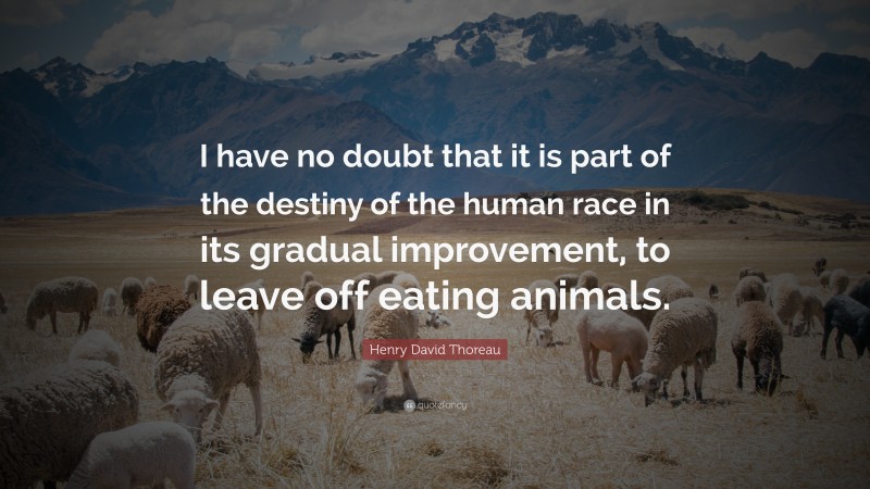 Henry David Thoreau Quote: “I have no doubt that it is part of the destiny of the human race in its gradual improvement, to leave off eating animals.”