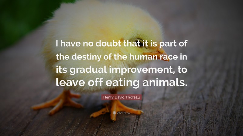Henry David Thoreau Quote: “I have no doubt that it is part of the destiny of the human race in its gradual improvement, to leave off eating animals.”