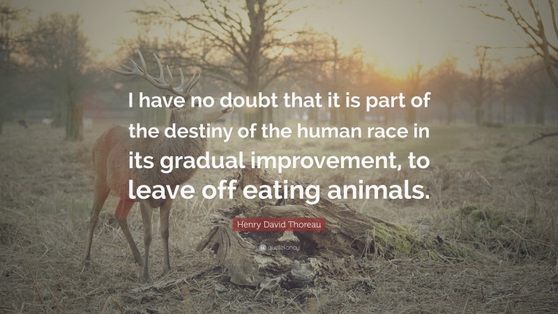 Henry David Thoreau Quote: “I have no doubt that it is part of the destiny of the human race in its gradual improvement, to leave off eating animals.”