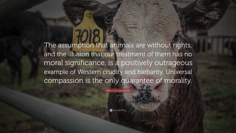 Arthur Schopenhauer Quote: “The assumption that animals are without rights, and the illusion that our treatment of them has no moral significance, is a positively outrageous example of Western crudity and barbarity. Universal compassion is the only guarantee of morality.”