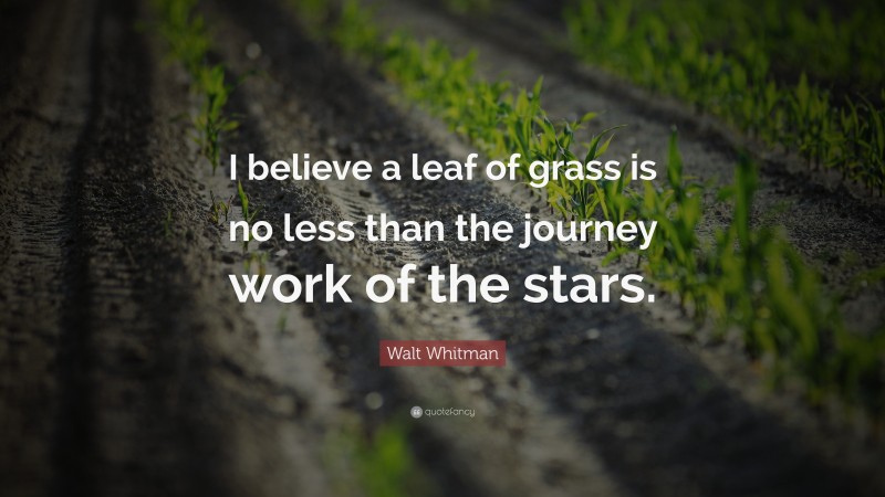 Walt Whitman Quote: “I believe a leaf of grass is no less than the journey work of the stars.”