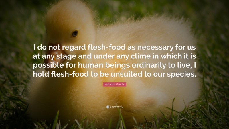 Mahatma Gandhi Quote: “I do not regard flesh-food as necessary for us at any stage and under any clime in which it is possible for human beings ordinarily to live, I hold flesh-food to be unsuited to our species.”