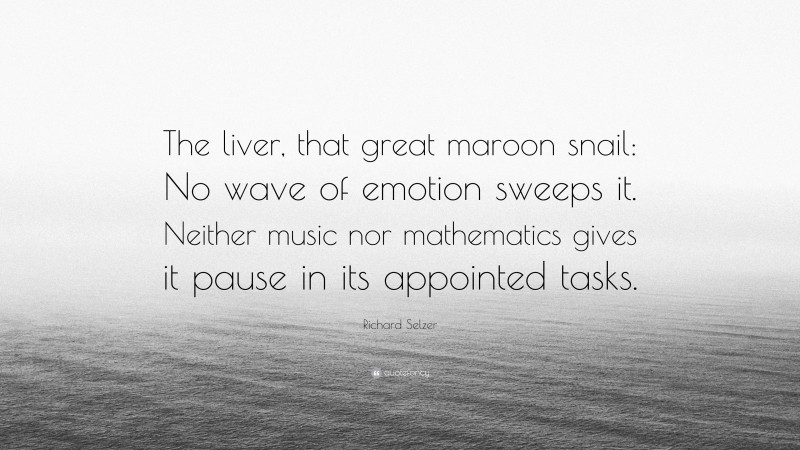 Richard Selzer Quote: “The liver, that great maroon snail: No wave of emotion sweeps it. Neither music nor mathematics gives it pause in its appointed tasks.”