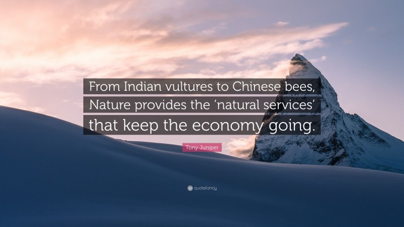 Tony Juniper Quote: “From Indian vultures to Chinese bees, Nature provides the ‘natural services’ that keep the economy going.”