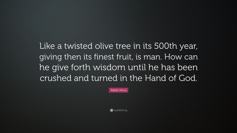 Rabbi Akiva Quote: “Like a twisted olive tree in its 500th year, giving then its finest fruit, is man. How can he give forth wisdom until he has been crushed and turned in the Hand of God.”