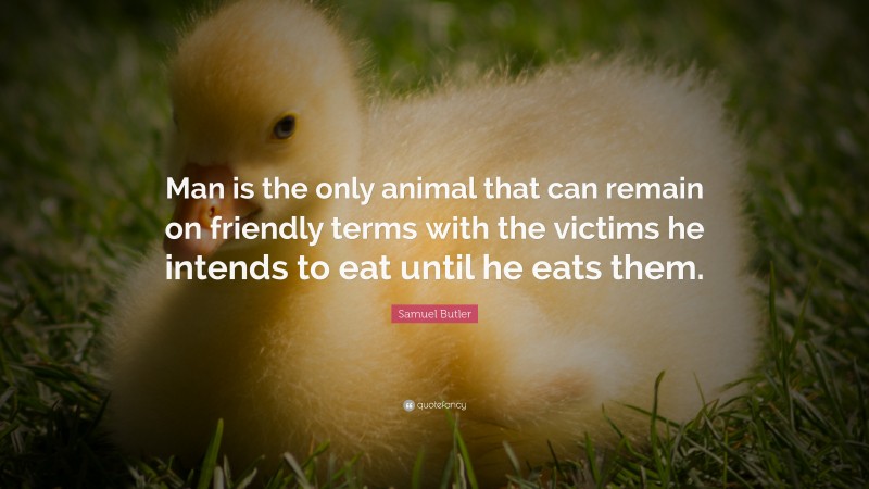 Samuel Butler Quote: “Man is the only animal that can remain on friendly terms with the victims he intends to eat until he eats them.”