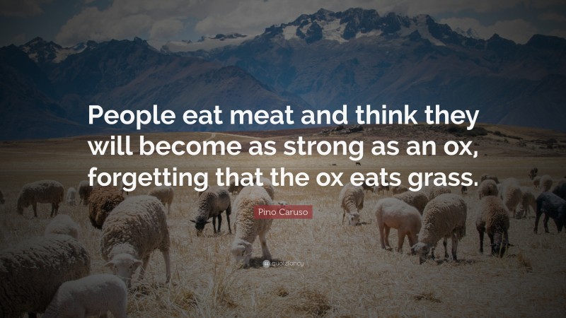 Pino Caruso Quote: “People eat meat and think they will become as strong as an ox, forgetting that the ox eats grass.”