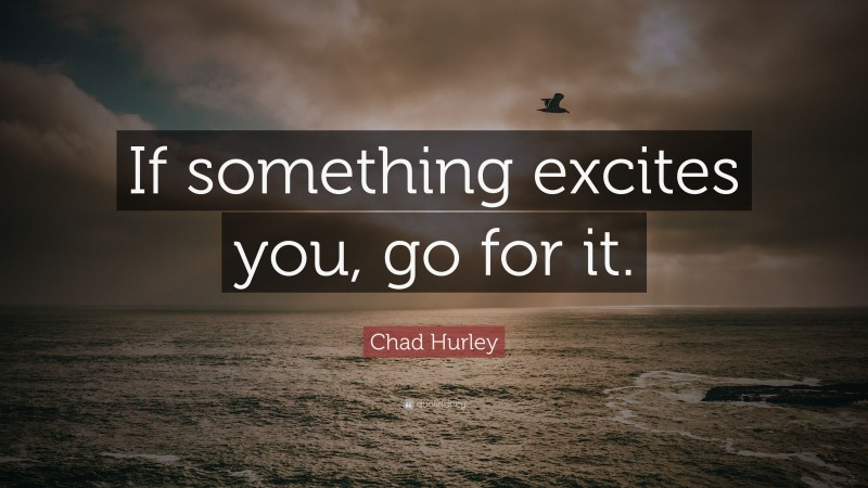 Chad Hurley Quote: “If something excites you, go for it.”