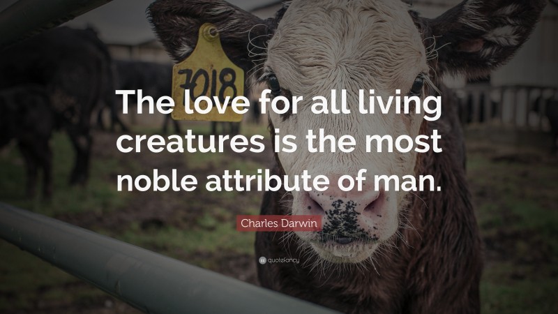 Charles Darwin Quote: “The love for all living creatures is the most noble attribute of man.”