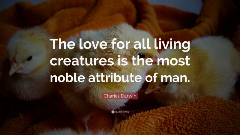 Charles Darwin Quote: “The love for all living creatures is the most noble attribute of man.”