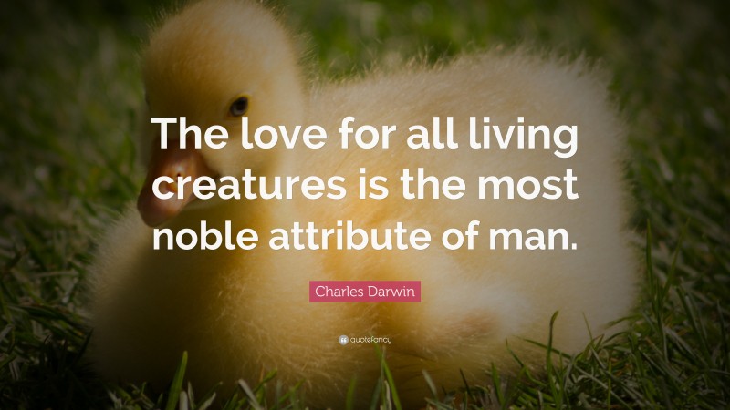 Charles Darwin Quote: “The love for all living creatures is the most noble attribute of man.”