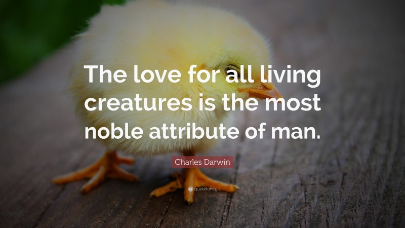 Charles Darwin Quote: “The love for all living creatures is the most noble attribute of man.”