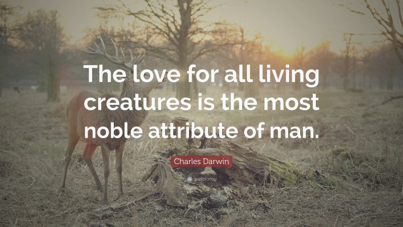 Charles Darwin Quote: “The love for all living creatures is the most noble attribute of man.”