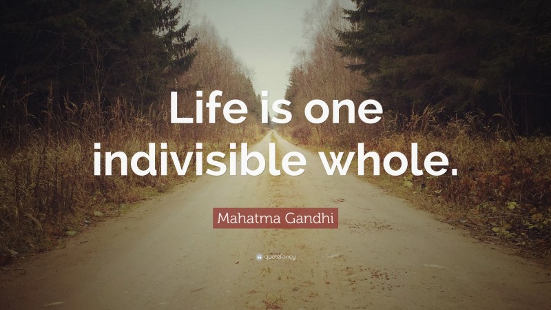 Mahatma Gandhi Quote: “Life is one indivisible whole.”