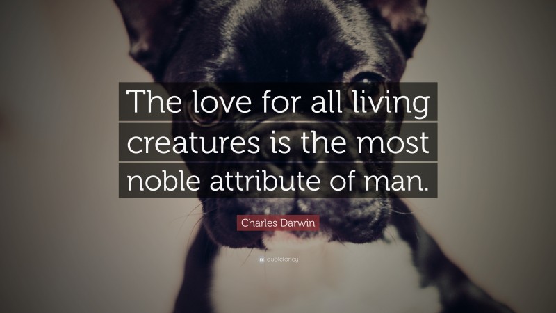 Charles Darwin Quote: “The love for all living creatures is the most noble attribute of man.”