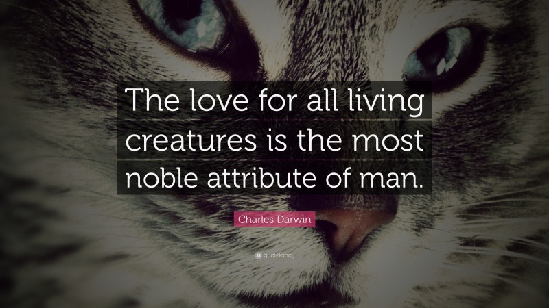 Charles Darwin Quote: “The love for all living creatures is the most noble attribute of man.”