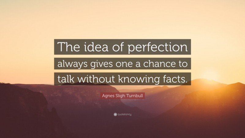 Agnes Sligh Turnbull Quote: “The idea of perfection always gives one a chance to talk without knowing facts.”