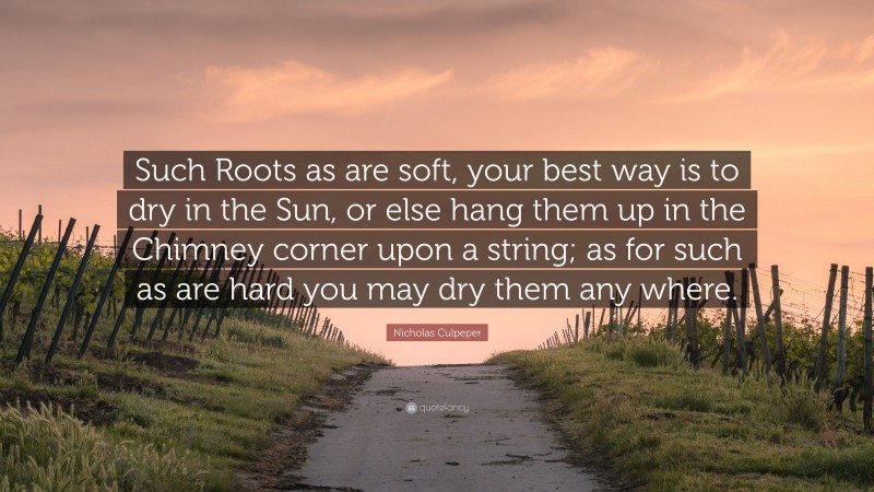 Nicholas Culpeper Quote: “Such Roots as are soft, your best way is to dry in the Sun, or else hang them up in the Chimney corner upon a string; as for such as are hard you may dry them any where.”