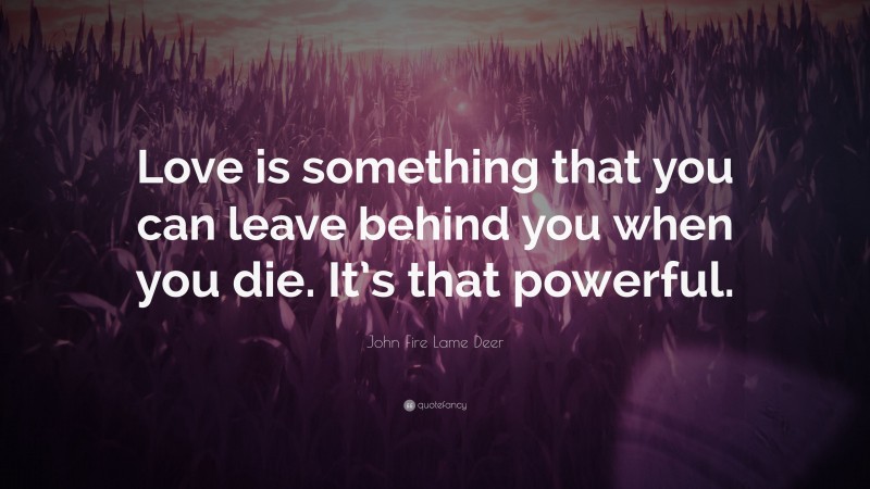 John Fire Lame Deer Quote: “Love is something that you can leave behind you when you die. It’s that powerful.”