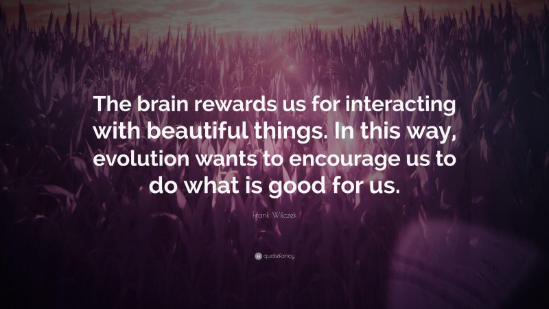 Frank Wilczek Quote: “The brain rewards us for interacting with beautiful things. In this way, evolution wants to encourage us to do what is good for us.”