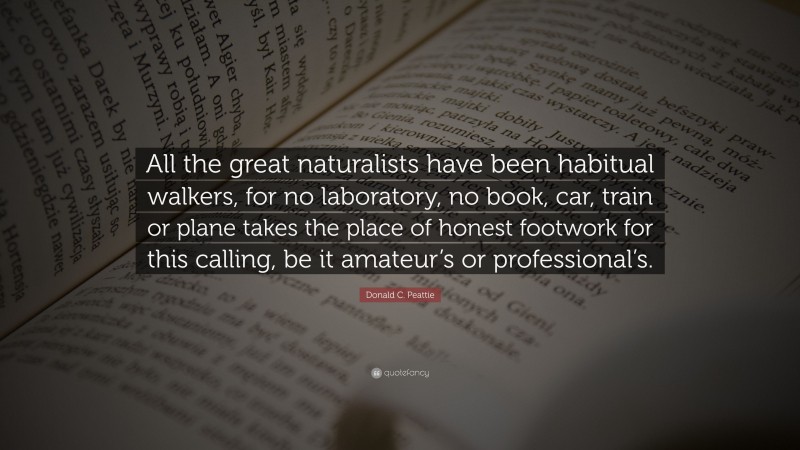 Donald C. Peattie Quote: “All the great naturalists have been habitual walkers, for no laboratory, no book, car, train or plane takes the place of honest footwork for this calling, be it amateur’s or professional’s.”