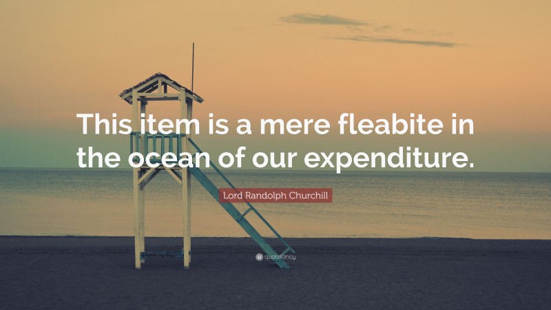 Lord Randolph Churchill Quote: “This item is a mere fleabite in the ocean of our expenditure.”