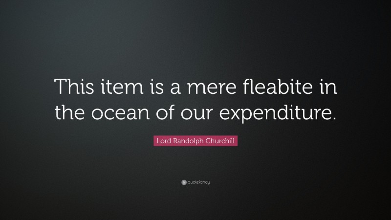 Lord Randolph Churchill Quote: “This item is a mere fleabite in the ocean of our expenditure.”