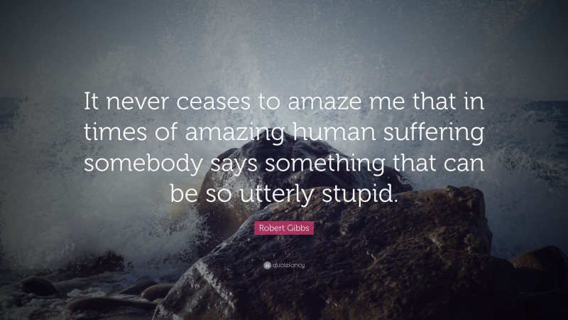 Robert Gibbs Quote: “It never ceases to amaze me that in times of amazing human suffering somebody says something that can be so utterly stupid.”