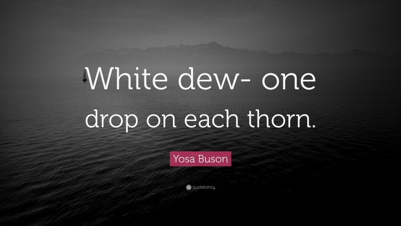 Yosa Buson Quote: “White dew- one drop on each thorn.”