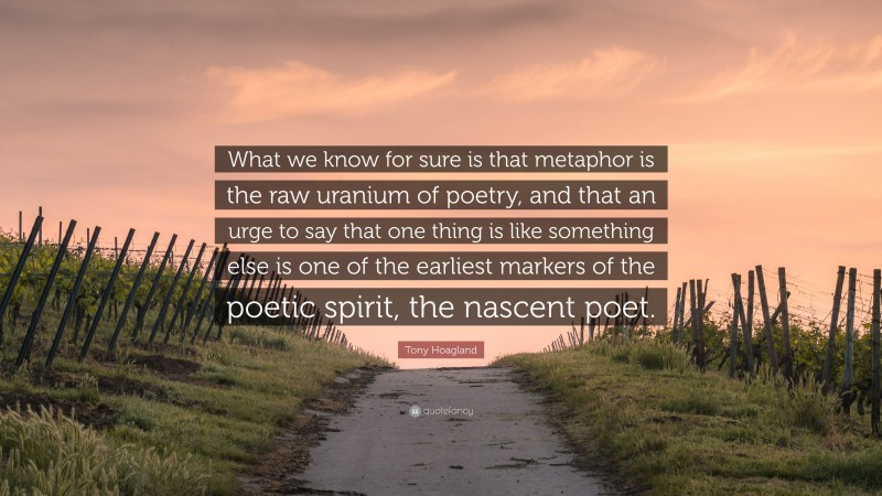 Tony Hoagland Quote: “What we know for sure is that metaphor is the raw uranium of poetry, and that an urge to say that one thing is like something else is one of the earliest markers of the poetic spirit, the nascent poet.”
