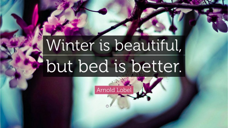 Arnold Lobel Quote: “Winter is beautiful, but bed is better.”