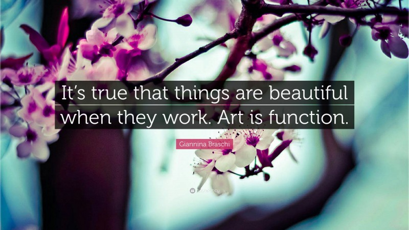 Giannina Braschi Quote: “It’s true that things are beautiful when they work. Art is function.”