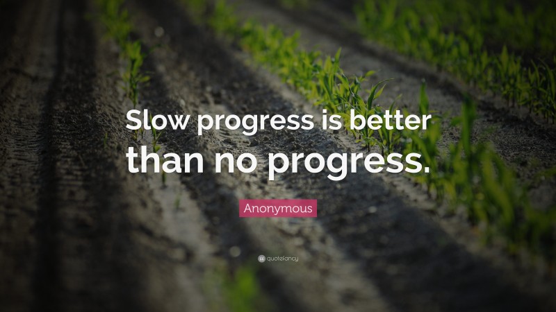 Anonymous Quote: “Slow progress is better than no progress.”