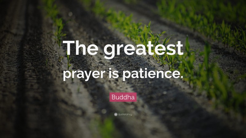 Buddha Quote: “The greatest prayer is patience.”