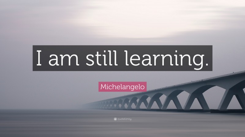 Michelangelo Quote: “I am still learning.”