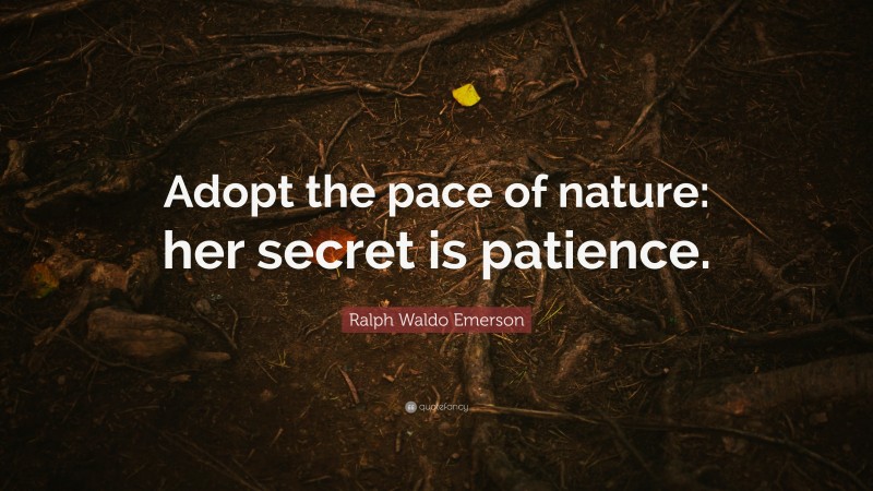 Ralph Waldo Emerson Quote: “Adopt the pace of nature: her secret is patience.”