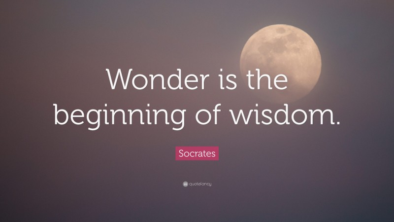 Socrates Quote: “Wonder is the beginning of wisdom.”