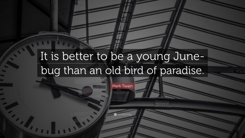 Mark Twain Quote: “It is better to be a young June-bug than an old bird of paradise.”
