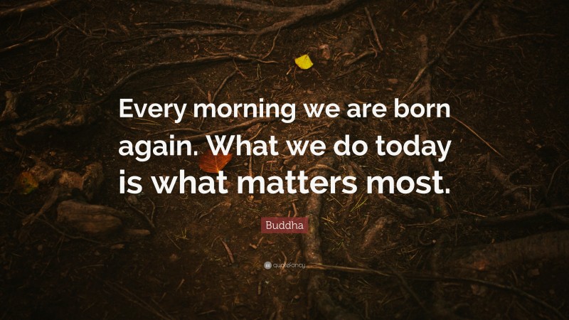 Buddha Quote: “Every morning we are born again. What we do today is ...