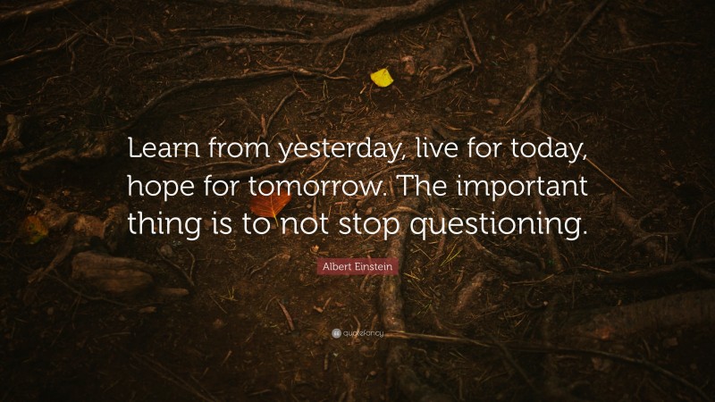 Albert Einstein Quote: “Learn from yesterday, live for today, hope for tomorrow. The important thing is to not stop questioning.”